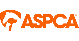 Partial logo with bold orange letters on a white background.